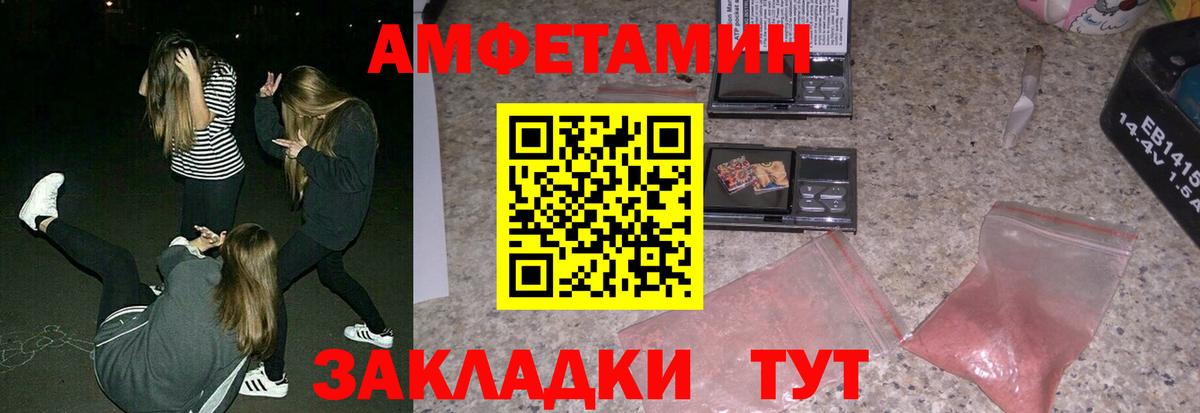 KRAKEN   Коряжма  АМФ Premium 