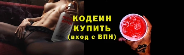 a pvp Инсар