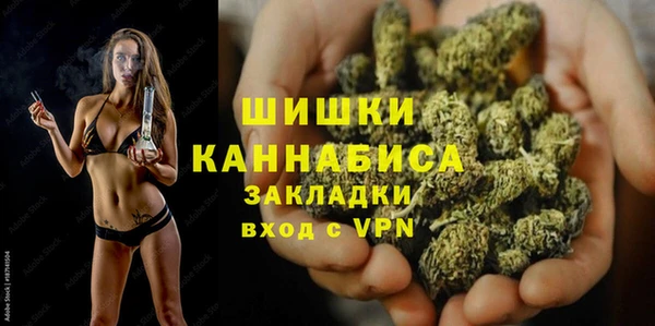 a pvp Инсар